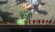 Алматы маңында ер адамды пойыз басып кетті