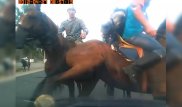 Көкпар тартып алматылық әйелдің көлігін бүлдіргендер жазаға тартылады