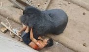 Аш аюды тамақпен ызаландырған турист жыртқышқа өзі жем болды