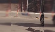 Астанада әйел мен бір жасар бала 12-қабаттан құлады