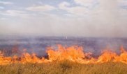 Ақтөбе облысында әкім мен мектеп директорының орынбасары тірідей жанып кеткен
