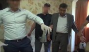 ОҚО-да бірқатар шенеунік парамен ұсталды