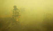 Ақмола облысында орман өртеніп жатыр
