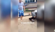 Павлодарда көлік тонамақшы болып, таяқ жеген жігітке кешірім берілді