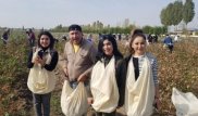 Өзбекстандық эстрада жұлдыздары мақта теруге шықты