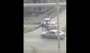 Атырауда көлік жүргізушісін аяусыз ұрып-соққан ер адамның видеосы жарияланды