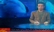 Лаңкестердің шабуылынан жараланған журналист  эфирге шықты