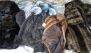 "Қорғаста" 70 ішік алып өтпек болған әйел ұсталды