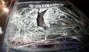 Алматыда жолүсті өткелінің астынан өтпекші болған ер адам қаза тапты