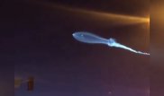 Лос-Анджелес тұрғындары аспандағы таңғажайып көріністі видеоға түсірді