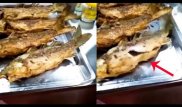 Қуырылған "зомби-балық" туралы видео Желіде дау туғызды