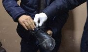 Шекарадан ұлтарағына марихуана алып өтпек болған ер адам ұсталды