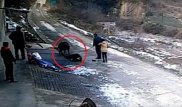 Жабайы қабанның ер адамды жарып өлтіргені түсірілген видео жарияланды