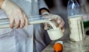 Сүт безі обырын қандай тағамдар қоздыратыны анықталды