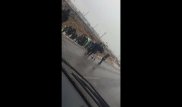 Қызылордада жолаушылары бар автобус аударылды: Оқиғаның мән-жайы