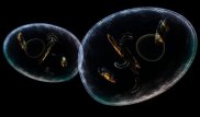 Қатерлі ісіктің өз-өзін жойып жіберу процесін іске қосатын механизм табылды