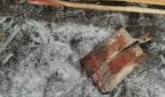 Ақмола облысында баланы ит талап өлтірді