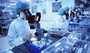 Биологтар ішектің қартаюға қалай әсер ететінін анықтады