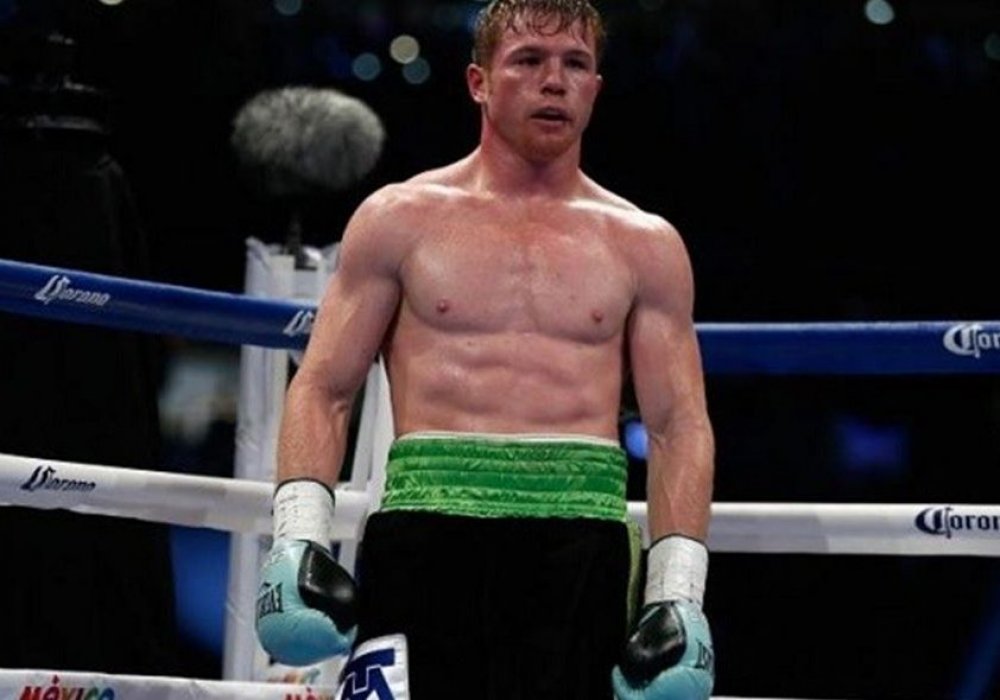 WBC президенті Альварестің допинг-дауына қатысты пікір білдірді