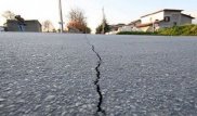 Зілзаланың адам денсаулығына тигізетін зияны