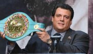Альвареспен екінші кездесу өтпейтін болса, GGG басқа қарсыласпен шығады - WBC президенті