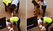 Павлодарда көшеде жұлысқан қыздар екі жылға дейін сотталуы мүмкін