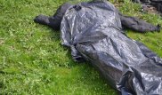 "Әулеттің масқарасын шығарды". Некесіз бала босанған қызды өз шешесі өлтірген