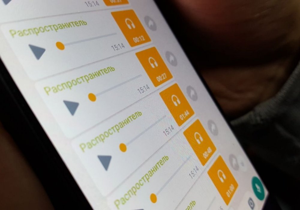 WhatsApp-та кішкентай қыздан газды ашып қоюын сұраған әйел жайлы аудио тарап жатыр