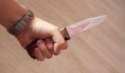 Немерелерін қорғаймын деп туған баласын өлтірген. Ақмола облысында зейнеткер сотталды