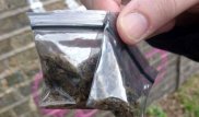 Қарағандыда 17 жастағы қыз есірткімен ұсталды