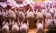 Қырғызстан Қазақстаннан жұмыртқа мен құс етін кіргізуге шектеу қойды