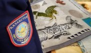 Алматыда төрт полицей пара алды деген күдікпен ұсталды