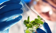 Алматылық жас ғалымдар өсімдік майынан биоотын алудың жолын тапты