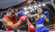 Азия чемпионатында Қазақстанның тоғыз боксшысы ширек финалға өтті
