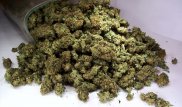 Колония қоршауынан марихуана лақтырмақ болған ер адам ұсталды