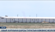 Елімізде обыр дертіне қарсы емдік қасиеті бар қызанақ өсіріледі