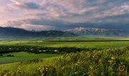 Massaget.kz порталындағы "Отаным, саған айтамын" байқауы: Қатысушыға шолу