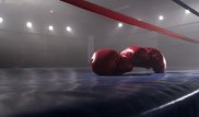 Екі салмақта әлемнің экс-чемпионы бүгінгі күннің ең мықты боксшысын атады