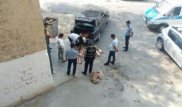 Ақтау полицейлері бекіре балығымен заңсыз айналысқан әйелді ұстады