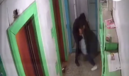 Павлодарда үй ауласында жас қызға шабуыл жасалған сәт видеоға түсіп қалды