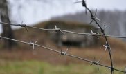 Шекарашылар 60 келі елік етін елден алып шықпақ болған ресейлікті ұстады
