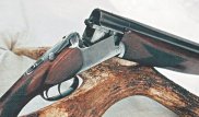 Жамбыл облысында ауыл тұрғыны 20 жыл бұрын кісі өлтіргенін мойындады