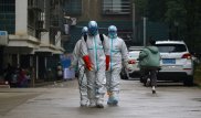 Ғалымдар коронавирустың неден жұғатынын атады. Қатерлі аурудан 80 адам қаза тапқан