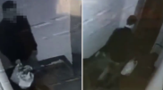 Балалар арбасына қоқыс тастаған астаналыққа айыппұл салынды