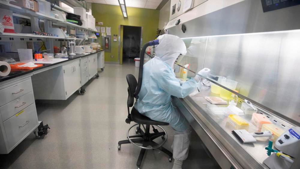 Бразилияда коронавирусқа қарсы дәріні сынақтан өткізуде 11 адам қайтыс болған