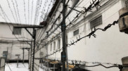 "10 адамды өлтірген". Алматылық өмір бойына бас бостандығынан айырылды