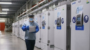 АҚШ-та Pfizer вакцинасын сынақтан өткізуге қатысқан алты адам қайтыс болды