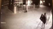 Нұр-Сұлтанда оқу орнына ұрлыққа түскен ер адамның видеосы тарады