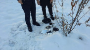 Алматыда көлік айналарын ұрлаумен айналысқан ер адам ұсталды