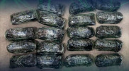 50 келі күмісті шекарадан жасырын өткізбек болған тұрғын ұсталды